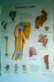/album/fotogaleria-inicio1/img-20151024-wa0017-jpg/